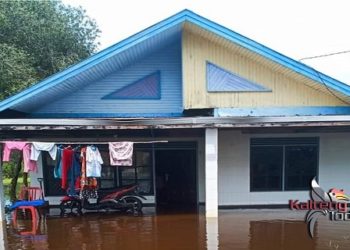 Drainase Banyak Tersumbat, Rumah di Kota Sampit Tergenang Saat Hujan