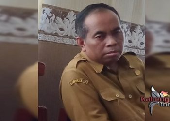 Kasus DBD di Pulang Pisau Turun Signifikan