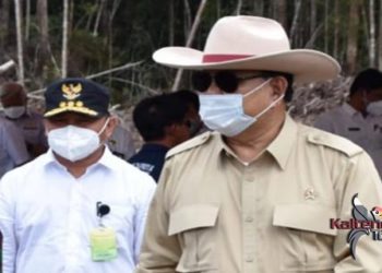 Tanaman Singkong di Gunung Mas Akan Jadi Ketahanan Pangan Nasional