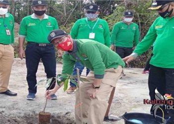 Pemkab Katingan Tanam 1600 Bibit Buah di Kebun Raya Katingan