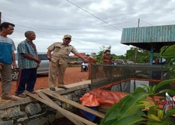 Sektor Perikanan Dapat Mensejahterakan Rakyat