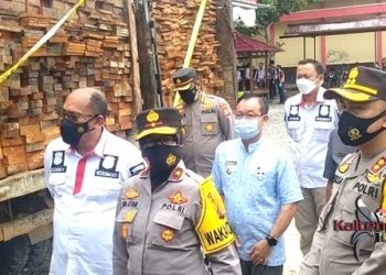 Polisi Ungkap Pembalakan Liar di Katingan Yang Rugikan Negara Rp. 23 Miliar