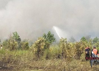 Air Menipis, Petugas Berjibaku Padamkan 5 Ha Lahan Gambut Terbakar di Jalan Danau Indah Km. 6 Palangka Raya.
