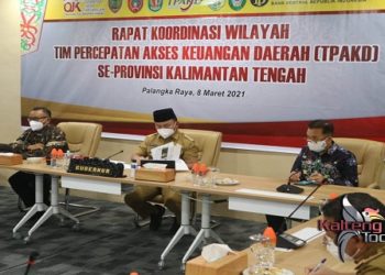 Gubernur Kalteng Hadiri Rakorwil TPAKD Se-Kalteng