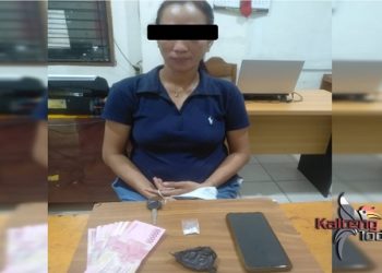 Seorang IRT Terduga Kasus Sabu Terlibat Narkoba, Ibu Rumah Tangga Ditangka Polisi