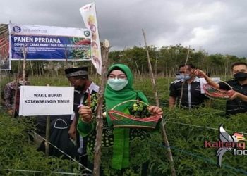 Wabup Kotim : Bidang Pertanian Perlu Dikembangkan