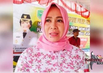 TP PKK Sosialisasikan Pengembangan UP2K di Belanti Siam