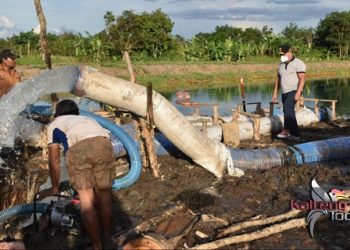 Gubernur Kalteng Tinjau lokasi Food Estate dan Cek Pintu Air di Kabupaten Kapuas