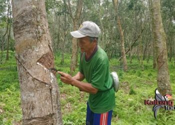 Pemdes Mekar Jaya Usulkan Pembangunan Jalan Usaha Tani