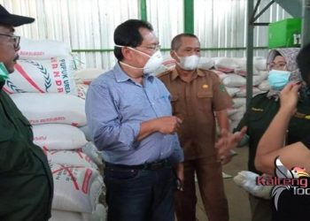 Tim Kemenko Kemaritiman Lakukan Indentifikasi di Lokasi Food Estate di Pulang Pisau