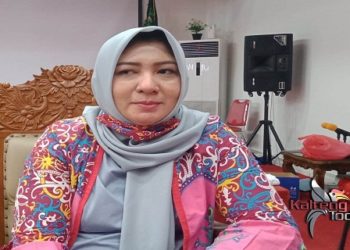 Dewan Imbau Bidan Desa Tetap Jaga Kesehatan Di Masa Pandemi