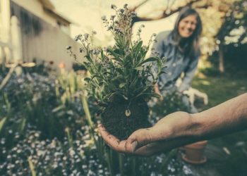 Alasan Mengapa Berkebun adalah Hobi yang Cocok bagi Semua Orang