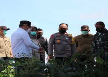 Gubernur Kalteng: Pengelolaan Irigasi di Kawasan Food Estate Desa Balanti Siam Sudah Tertata Baik