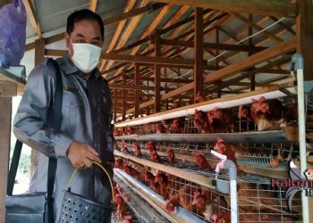 Dispertan Diharapkan Selalu Berinovasi