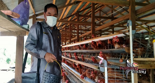 Dispertan Diharapkan Selalu Berinovasi