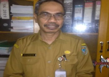 SOPD Diminta Tingkatkan Kualitas Tata Kelola Kearsipan
