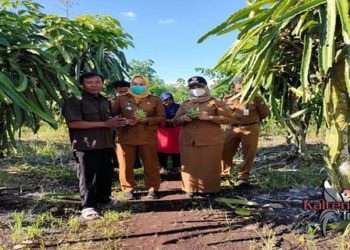 Wabup Kotim : Desa Kandan Diharapkan Jadi Percontohan Agrowisata