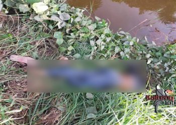 Berniat Mau Mencuci Karpet, Malah Temukan Mayat
