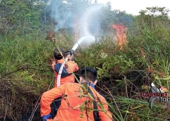 BPBD Mura Berhasil Gagalkan Kebakaran Lahan Seluas Lima Hektar