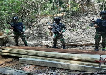 Satgas Pamtas Yonif 642/Kapuas Amankan Kayu Ilegal di Perbatasan Malaysia