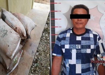 Polisi Tangkap Terduga Pencuri Pupuk Milik Perusahaan Kelapa Sawit