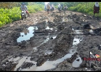 Warga Harapkan Perbaikan Ruas Jalan Sebangau Jaya