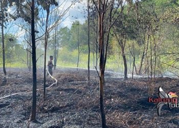 1 Hektar Lahan di Lingkar Luar Palangka Raya Terbakar.