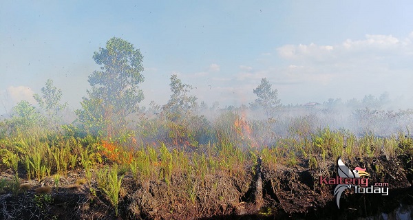 5 Hektare Lahan Gambut di Kereng Bangkirai Palangka Raya Terbakar