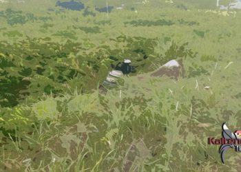 Kurir Pengiriman Barang Ditemukan Tewas di Pinggir Jalan Mahir Mahar Palangka Raya