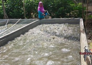 Desa Sumber Makmur Dapat Bantuan CSR PT BSK