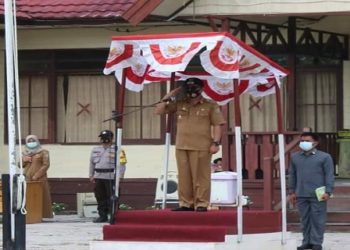 Wabup Katingan Pimpin Apel Kesiapsiagaan Menghadapi Karhutla Di Kecamatan Kamipang