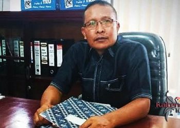 Harga Meroket, Anggota Dewan Ajak Masyarakat Tanam Cabai