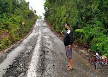 Legislator Ini Sebut Perusahan Batu Bara Rusak Jalan ke Tahura Lapak Jaru