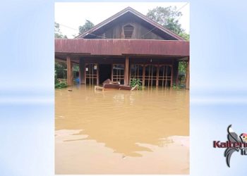 Banjir di Kabupaten Kapuas Semakin Parah, 3.807 Rumah Terendam dan 5.409 KK Dievakuasi