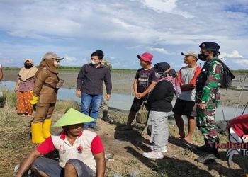 Petani Tambak Sampaikan Usulan Peningkatan Infrastruktur Jalan