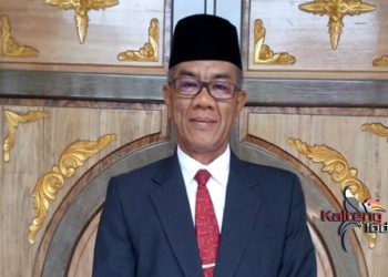 Sanggul L Gaol : Jangan Menghukum ASN Dengan Emosional Tanpa Aturan