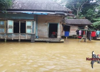 Banjir di Kabupaten Kapuas Meluas, 7 Desa di Kecamatan Kapuas Tengah Tergenang