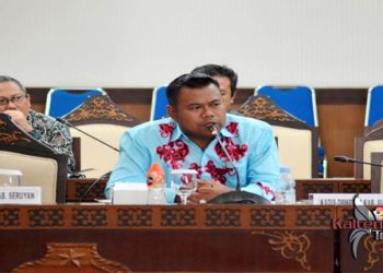 Kadin Kotim Siap Bantu Petani Walet Berikan Kesejahteraan