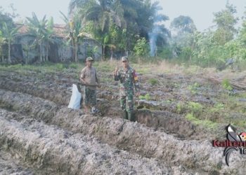 Dukung Perekonomian Masyarakat , TNI Survei Lahan Kosong di Mentaya Hilir Utara