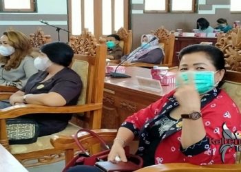 Dewan Minta Masyarakat tetap Patuhi Imbauan Tidak Mudik