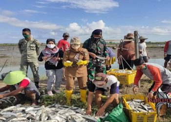 Wakil Bupati Seruyan : Potensi Perikanan Budidaya di Seruyan Cukup Menjanjikan