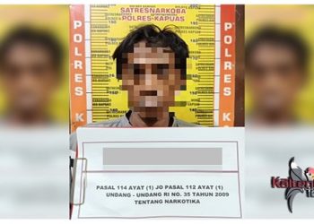 Jual Sabu di Kabupaten Kapuas Warga Kalsel Diciduk  Polisi