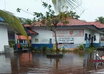 Usai Banjir Terjang Desa Lampuyang, Swasembada Pangan di Kotim Terancam Gagal Total
