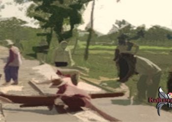 Rentan Penyimpangan, Pengawasan Dana Desa Kabupaten Barito Selatan Dinilai Lemah