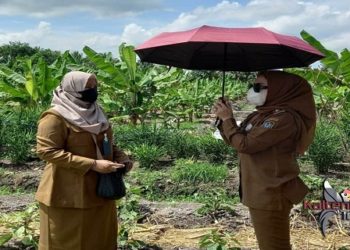 Wakil Bupati Seruyan : Jangan Biarkan Lahan Pekarangan Tidak Termanfaatkan