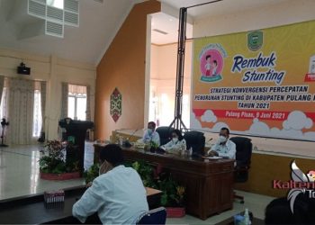 Plt Bupati Pulpis Pimpin Kegiatan Rembuk Stunting