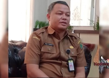 DPUPR Pulpis Fokus Pembangunan Infrastruktur Jalan dan Jembatan