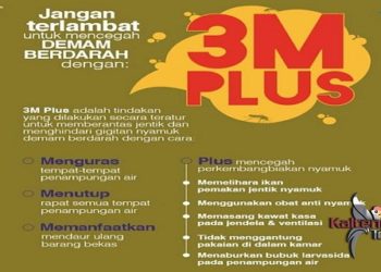 Masyarakat Seruyan Diminta Cegah Penyebaran Demam Berdarah