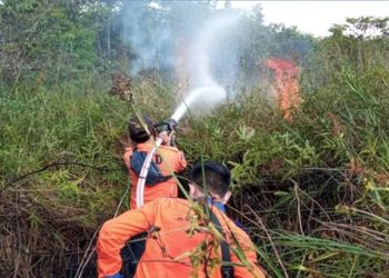 Dewan Dukung Upaya Pemkab Mura Tangani Karhutla Sejak Dini