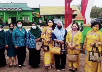 DPMD Pulpis Optimis Desa Kanamit Barat Meraih Prestasi Terbaik
